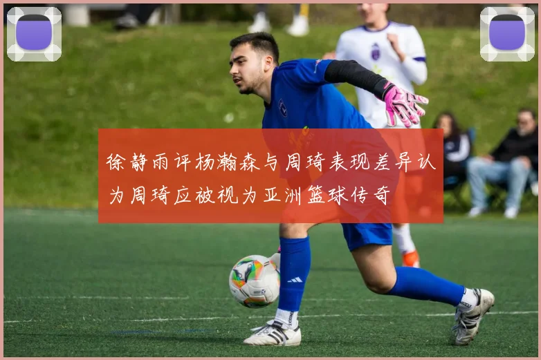 徐静雨评杨瀚森与周琦表现差异认为周琦应被视为亚洲篮球传奇