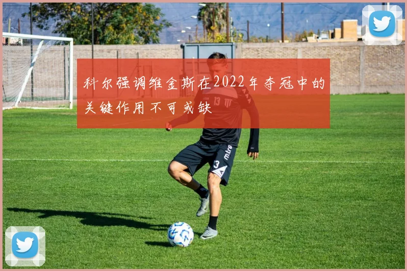科尔强调维金斯在2022年夺冠中的关键作用不可或缺